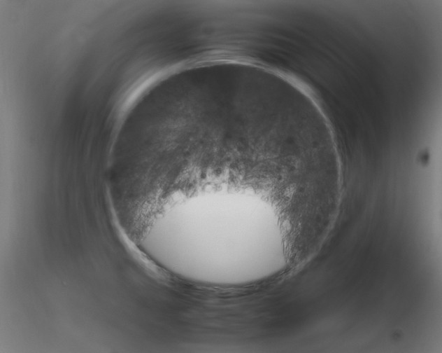 X0000116121431200912211644