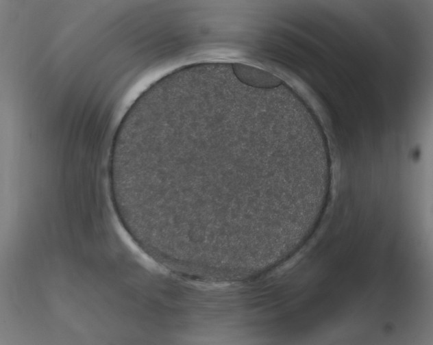 X0000116121432200912211644
