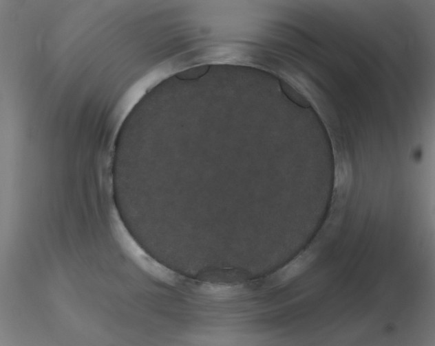 X0000116121434200912211644