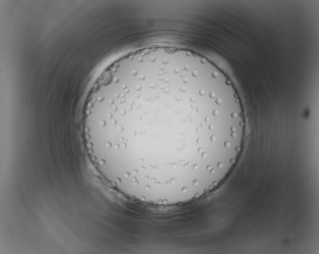 X0000116121435200912211644