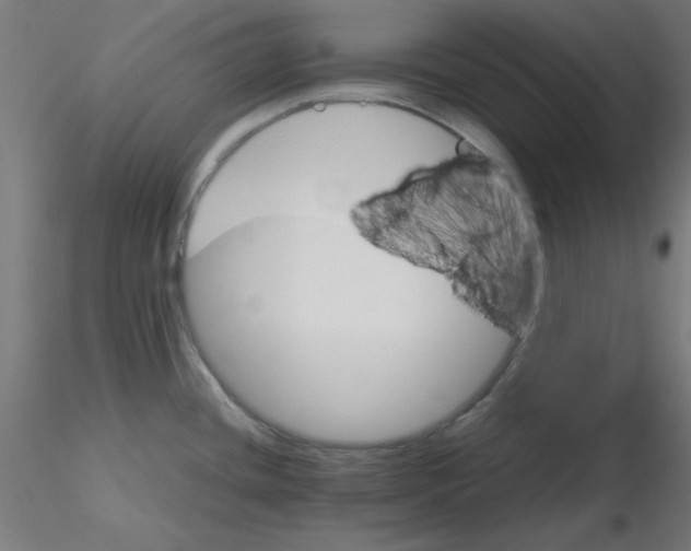 X0000116121436200912211645