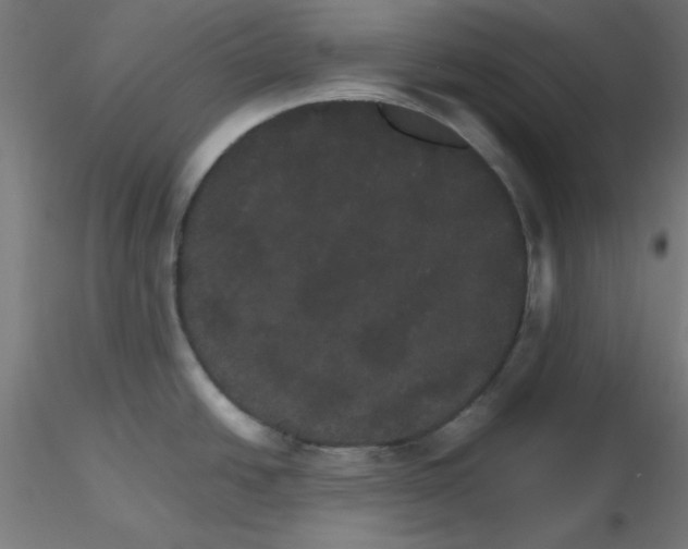 X0000116121438200912211645