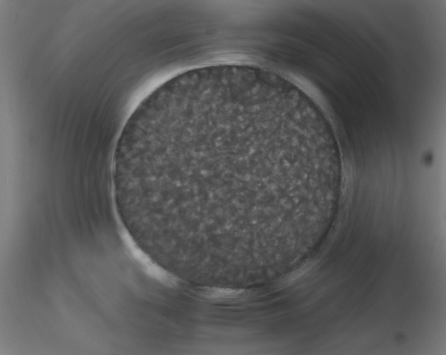 X0000116121439200912211645