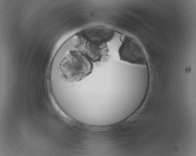 X0000116121440200912211645