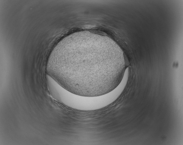 X0000116121441200912211644