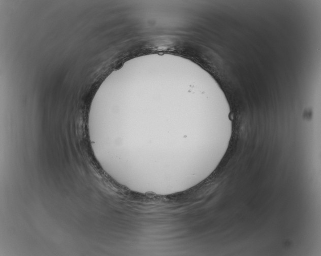 X0000116121442200912211644