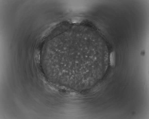 X0000116121443200912211644