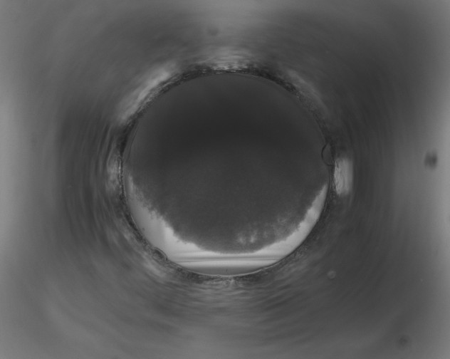 X0000116121444200912211644
