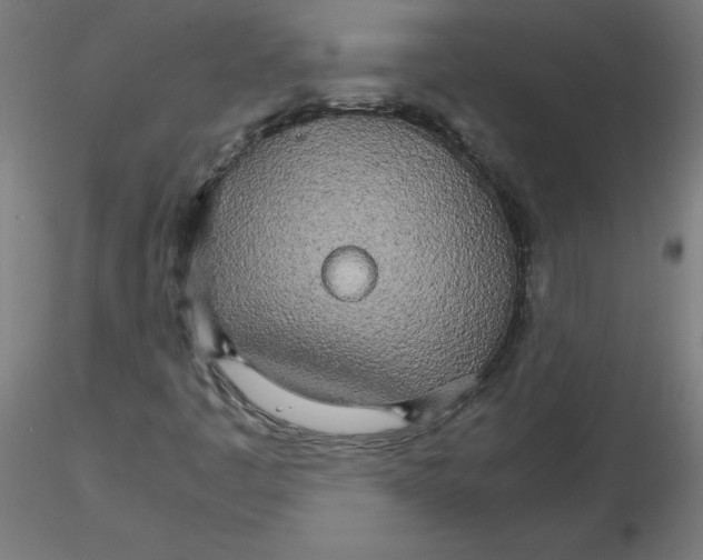 X0000116121445200912211644