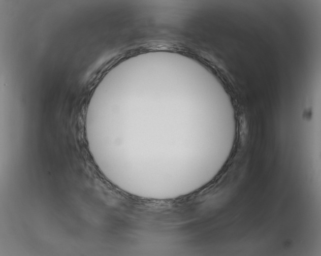 X0000116121446200912211644