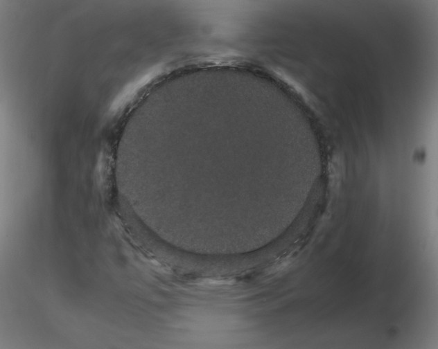 X0000116121447200912211644