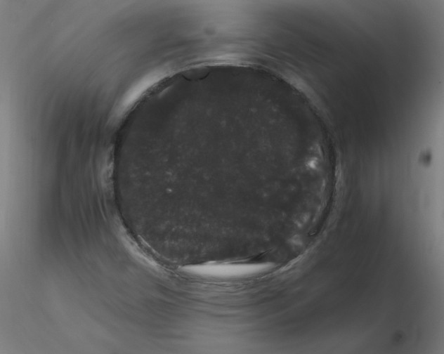 X0000116121450200912211644