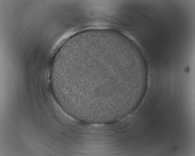 X0000116121451200912211644