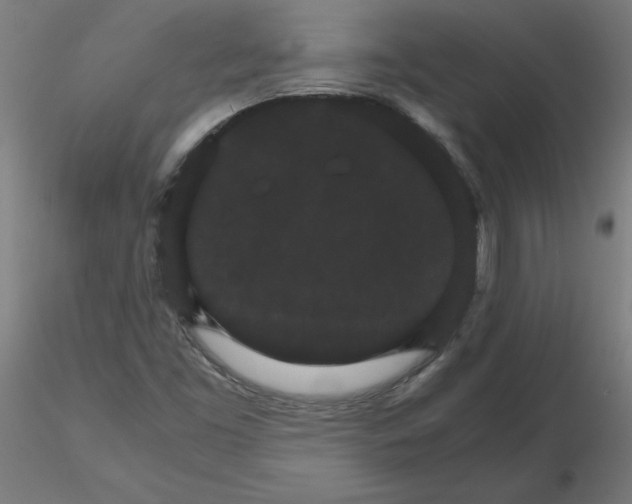 X0000116121453200912211644