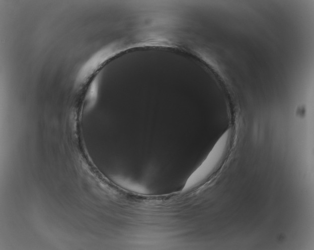X0000116121455200912211644