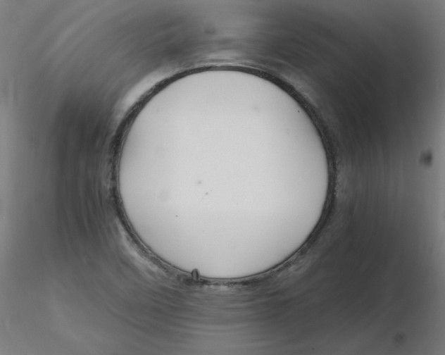 X0000116121458200912211644