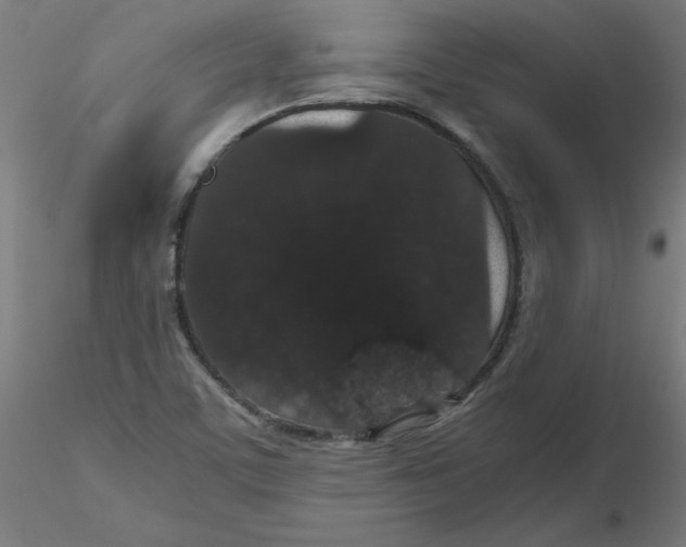 X0000116121459200912211644