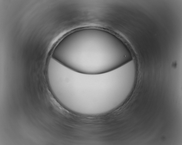 X0000116121460200912211644