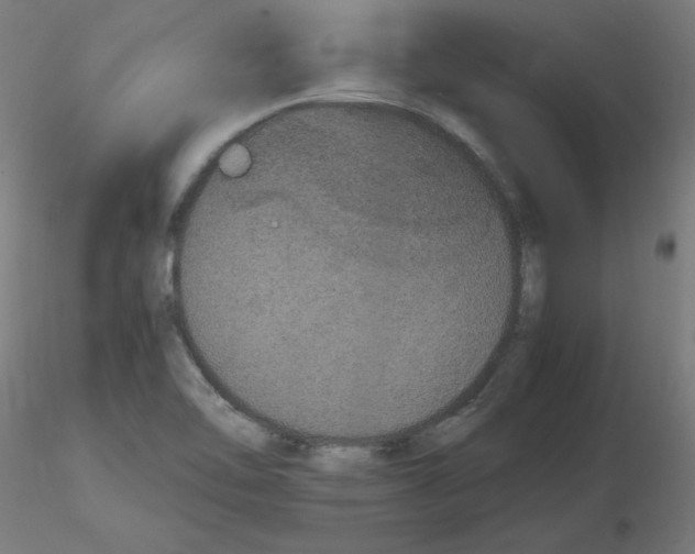 X0000116121462200912211644