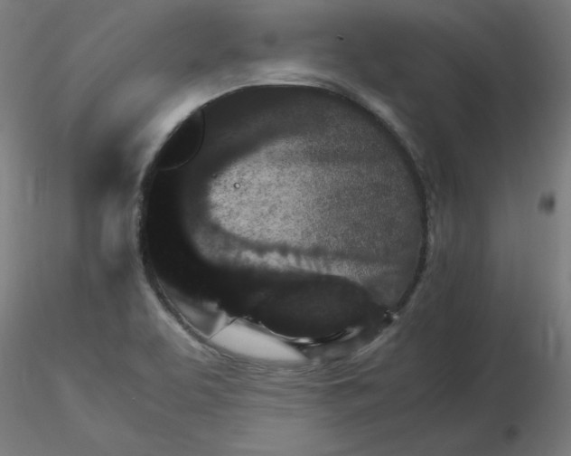 X0000116121463200912211644
