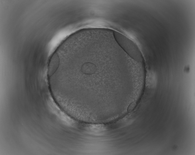 X0000116121464200912211644