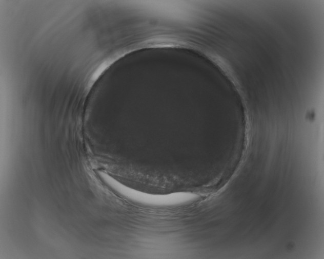X0000116121465200912211644