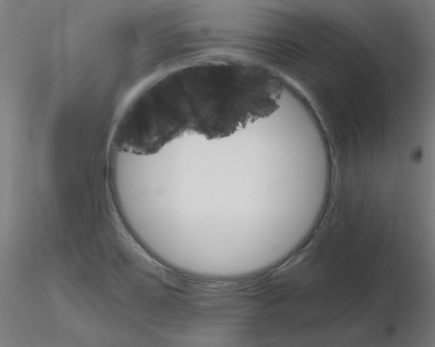 X0000116121467200912211644
