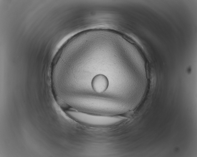 X0000116121468200912211644