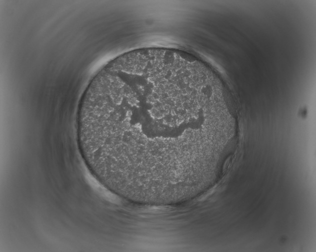 X0000116121471200912211644
