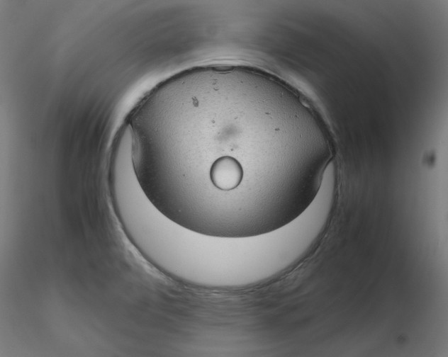 X0000116121472200912211643