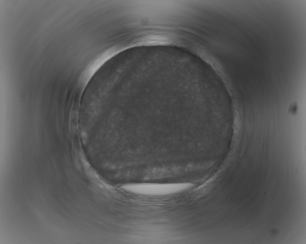 X0000116121473200912211643
