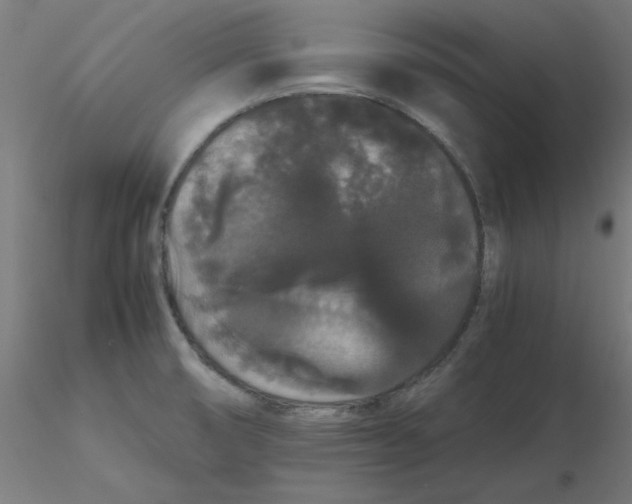 X0000116121474200912211643
