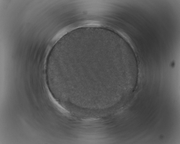X0000116121475200912211643