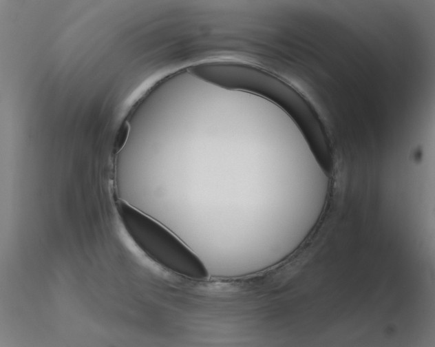 X0000116121476200912211643