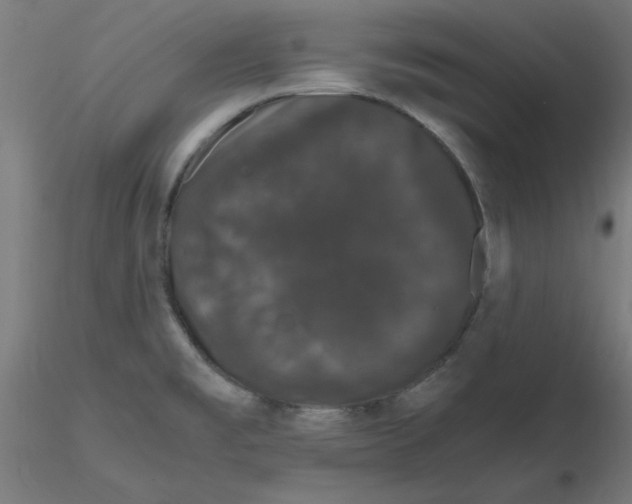 X0000116121477200912211643