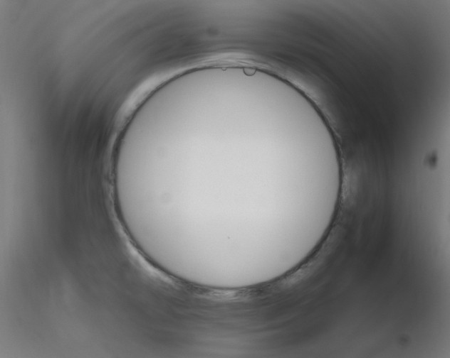 X0000116121478200912211643