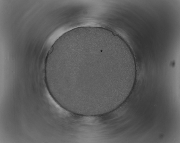 X0000116121479200912211643