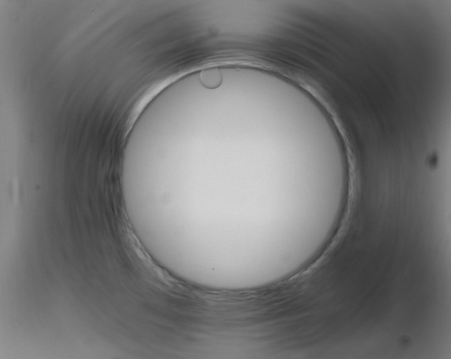 X0000116121481200912211643