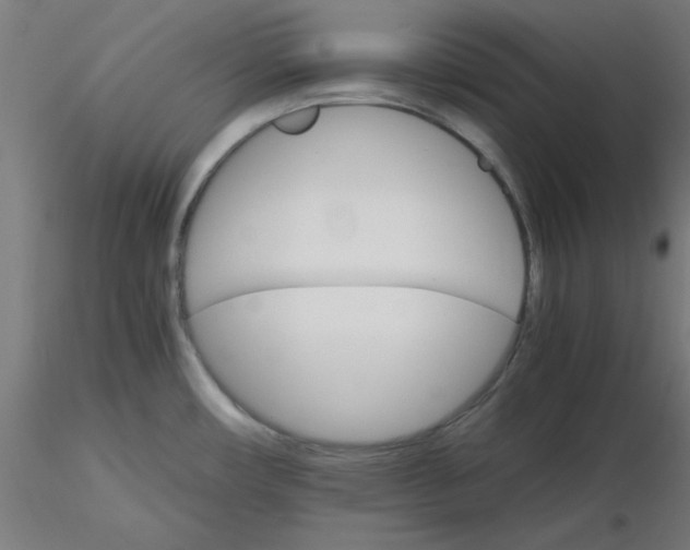 X0000116121482200912211643