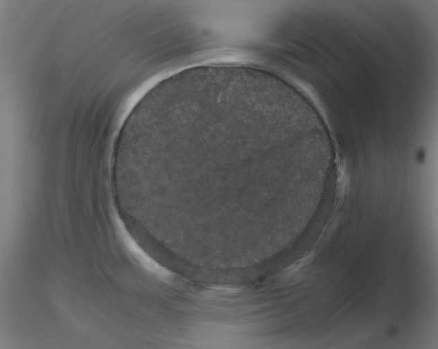 X0000116121483200912211643