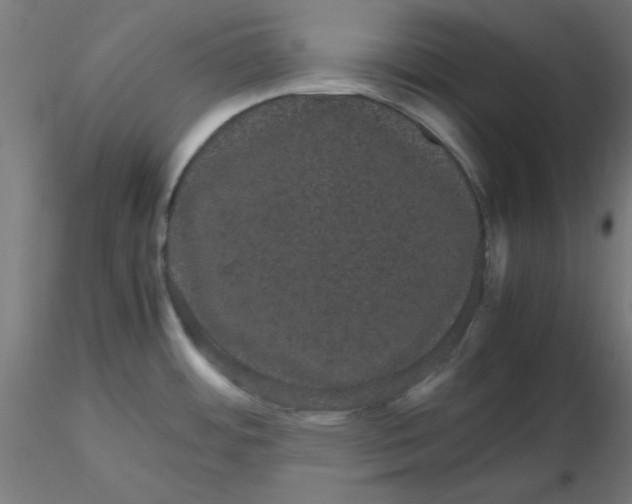 X0000116121484200912211643