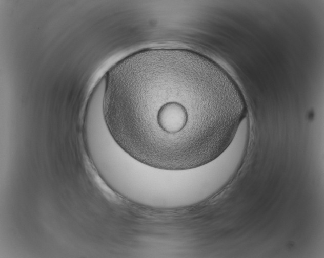 X0000116121485200912211643