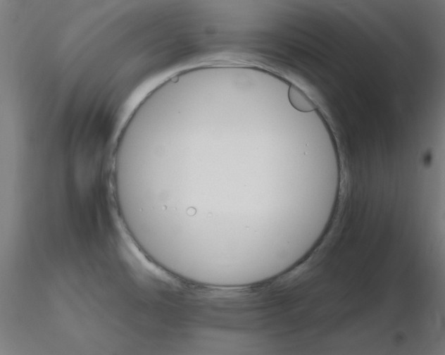X0000116121486200912211643