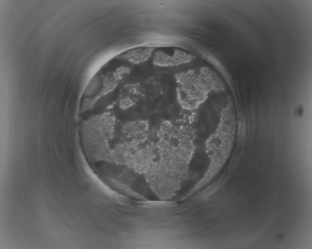 X0000116121487200912211643