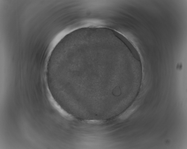 X0000116121488200912211643