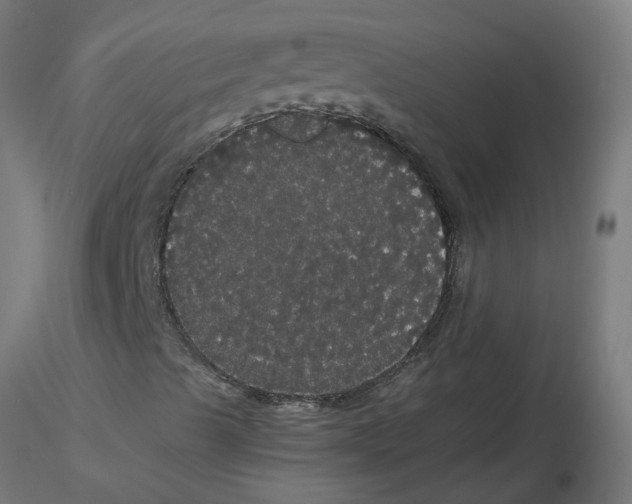 X0000116121489200912211643