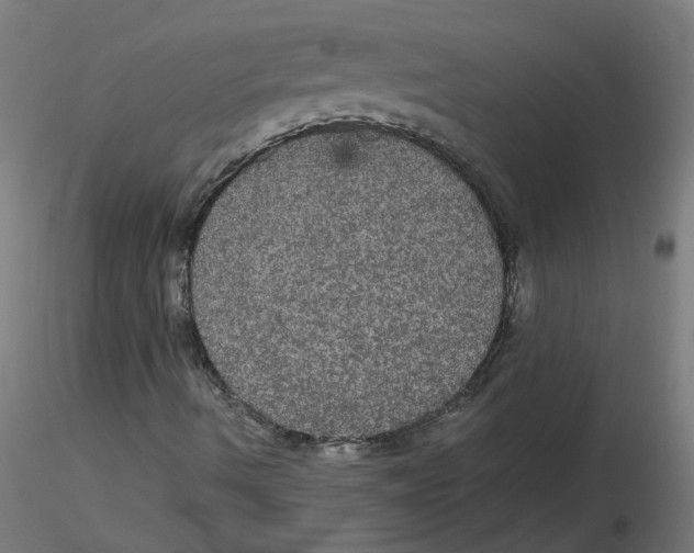 X0000116121490200912211643