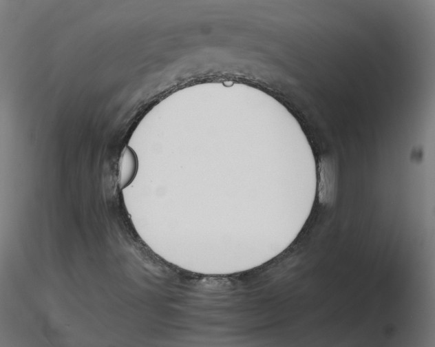 X0000116121491200912211643