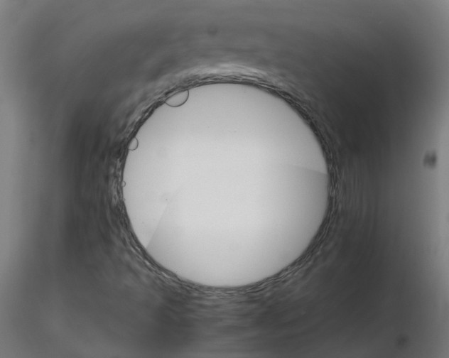 X0000116121493200912211643