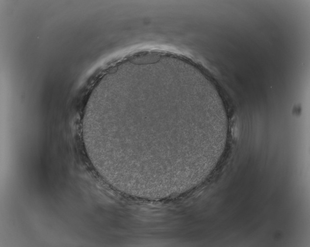 X0000116121495200912211643